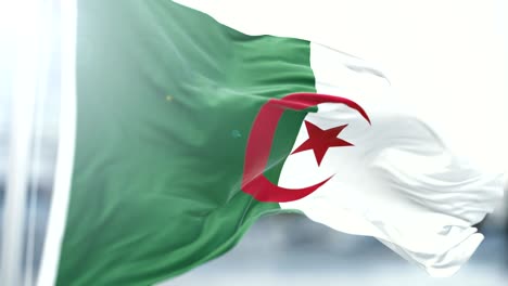 algeria flag slow waving. close up flag waving. seamless loop