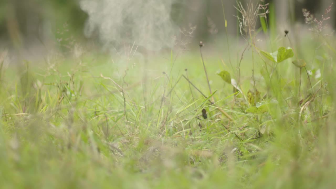 뜨거운 석탄에 물을 뿌려 연기와 수증기를 발생시킵니다.