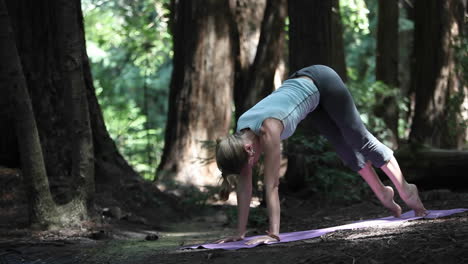 a young caucasian woman practicing yoga in the woods along a river