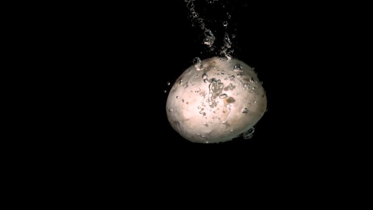 Mushroom falling in water on black background