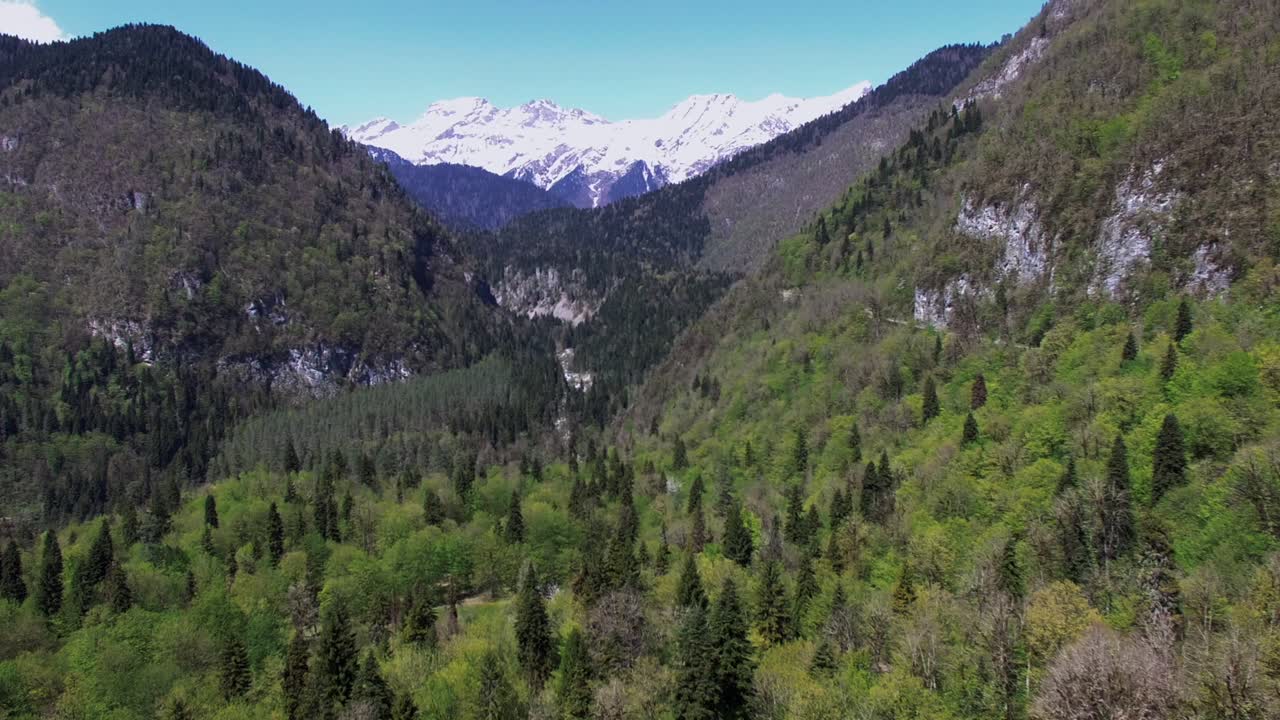 valle de montaña con picos nevados