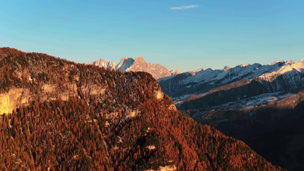 Popołudniowe światło nad zboczem góry z jesiennymi drzewami na tle ośnieżonych szczytów w dolinie Fiemme, Trentino, Włochy. Ujęcie z lotu ptaka.
