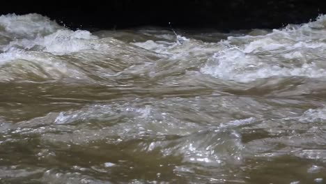 water flows in the river in slow motion- hd video