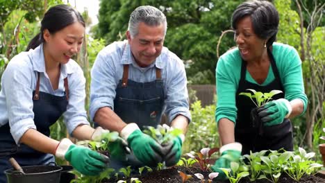 friends work collaboratively in a vibrant community garden, planting seedlings in the rich soil. laughter and joy fill the air as they nurture the plants under the warm sun.