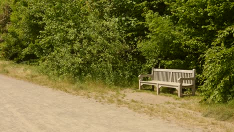 Shot-of-race-track-bench-in-Watermael-Boitsfort,-Brussels,-Belgium-on-a-sunny-day