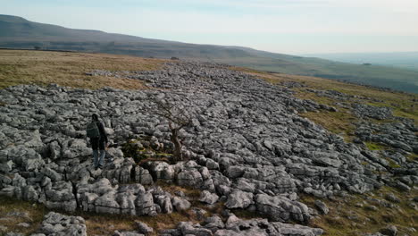 Hiker-on-rocky-hillside-with-old-trees-and-mountain-Ingleborough-in-the-distance-and-reveal-of-misty-horizon-and-green-fields