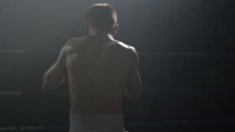 boxer in the ring