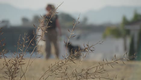 mujer policía caminando con el perro en cámara lenta a través del campo