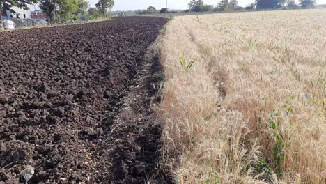 Paisaje-De-Agricultura