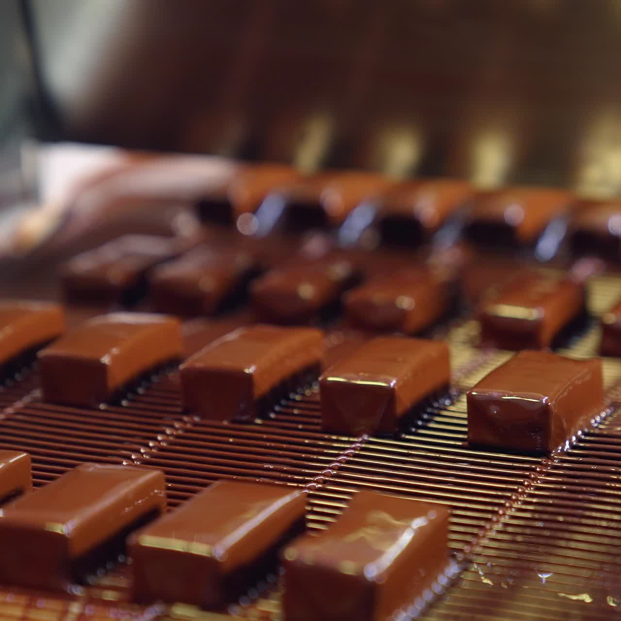 Chocolate candies on a conveyor belt