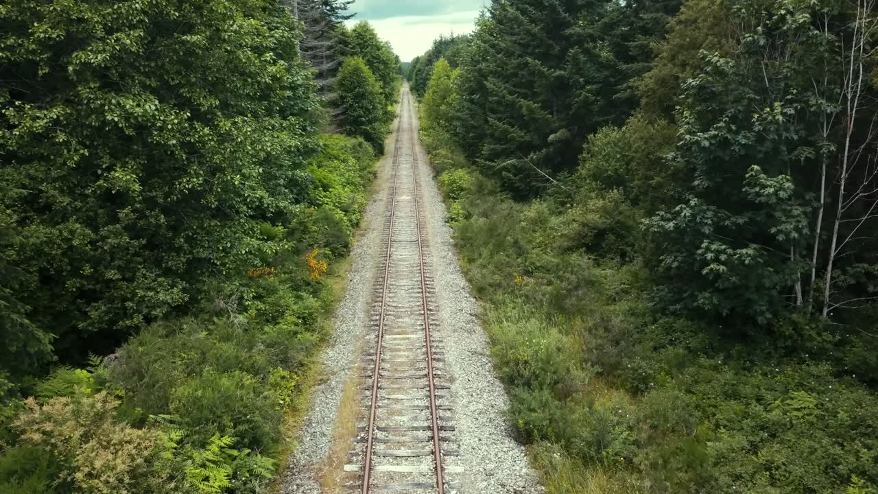 Drone flying over abandoned railway tracks through the trees looking forward along a very straight section