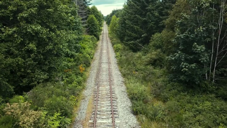Drone che vola sopra binari ferroviari abbandonati tra gli alberi, riprendendo una sezione molto rettilinea.