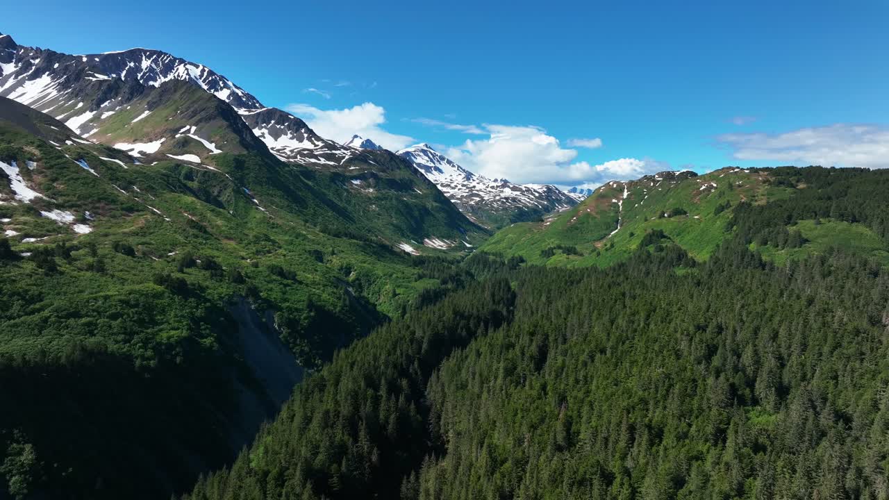미국 몬태나 주 미줄라 카운티의 눈 덮인 산이 있는 빽빽한 덤불에서 무인 항공기가 내려오고 있습니다.