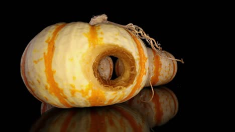 starting with one decorative gourd with multi-stranded stem in view and two others in background, slowly pushing into the core of the center gourd and all the way through - macro of gourd interior