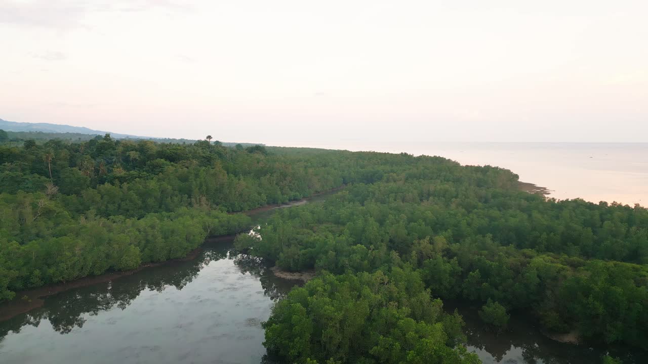 필리핀 의 해가 지는 동안 해안선 근처 에 있는 넓은 맹그로브  ⁇  의 공중 사진