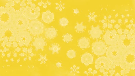 pretty yellow flower background.