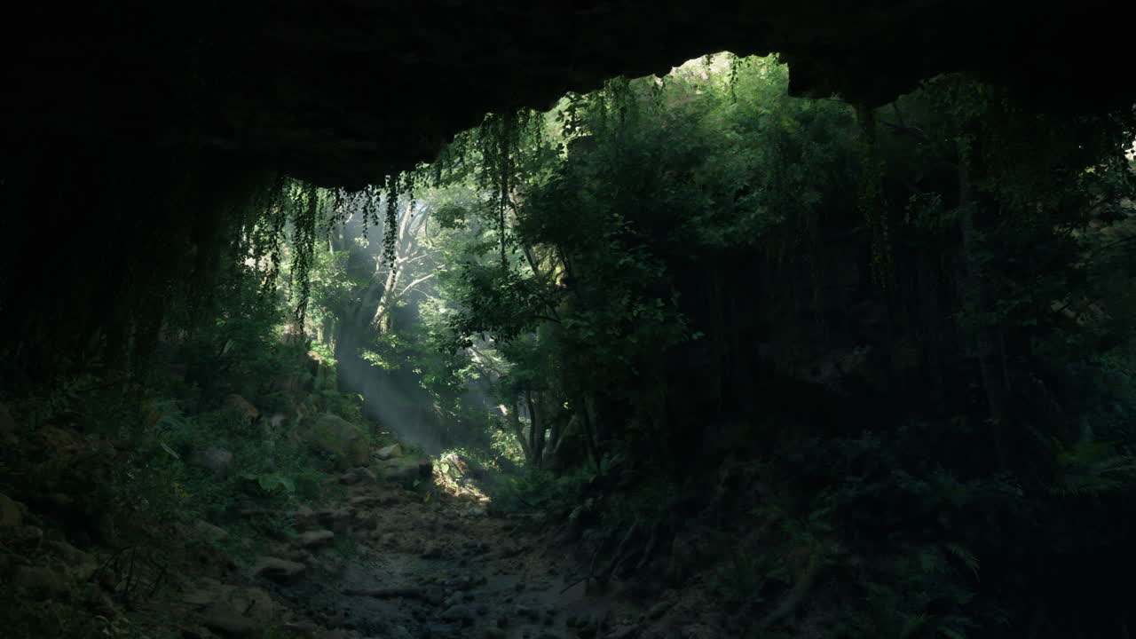 la luz del sol fluye a través de la entrada de una exuberante cueva de la selva
