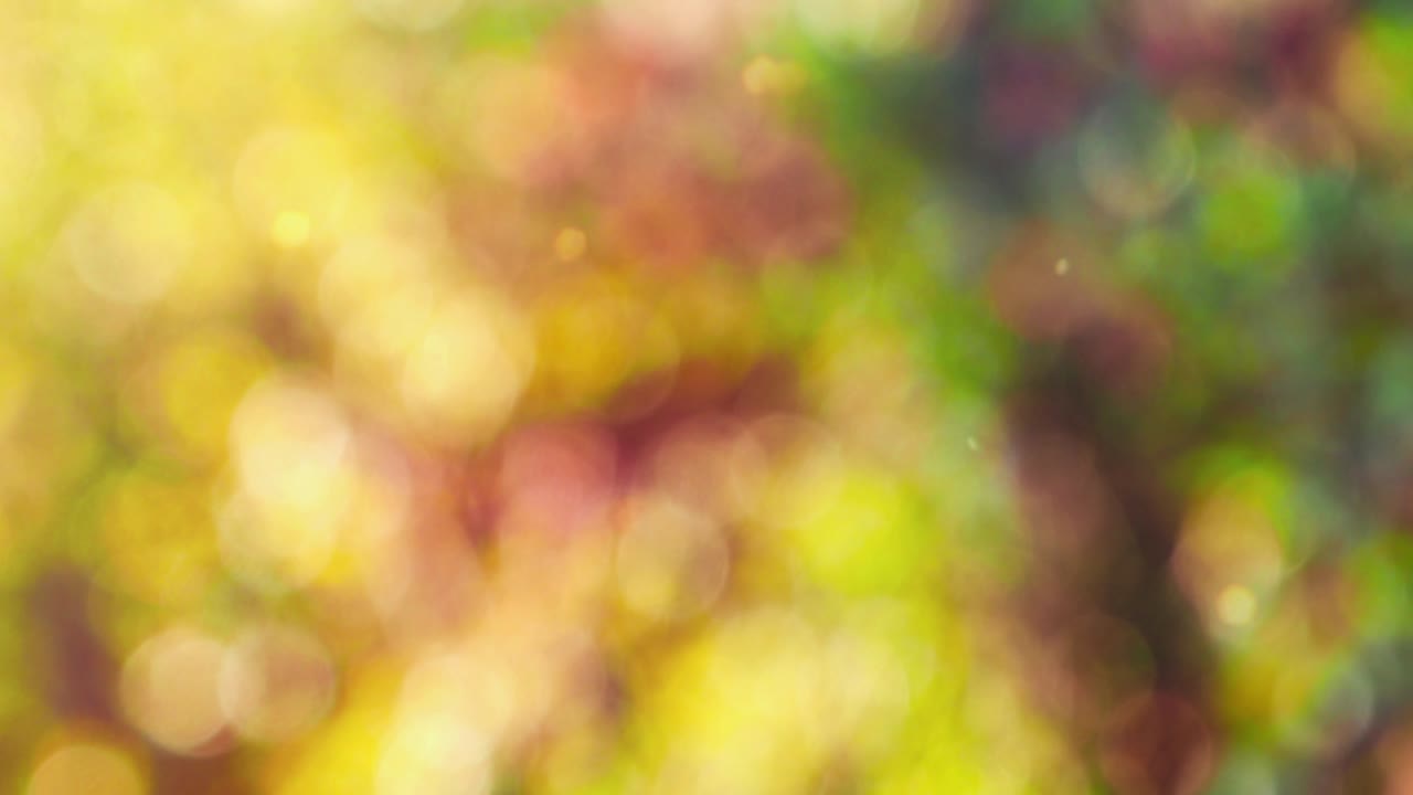 Fundo abstrato de outono com bokeh