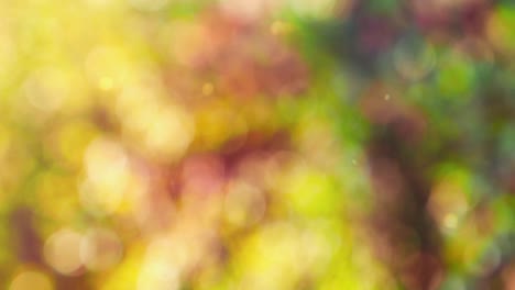 fondo de otoño abstracto con bokeh