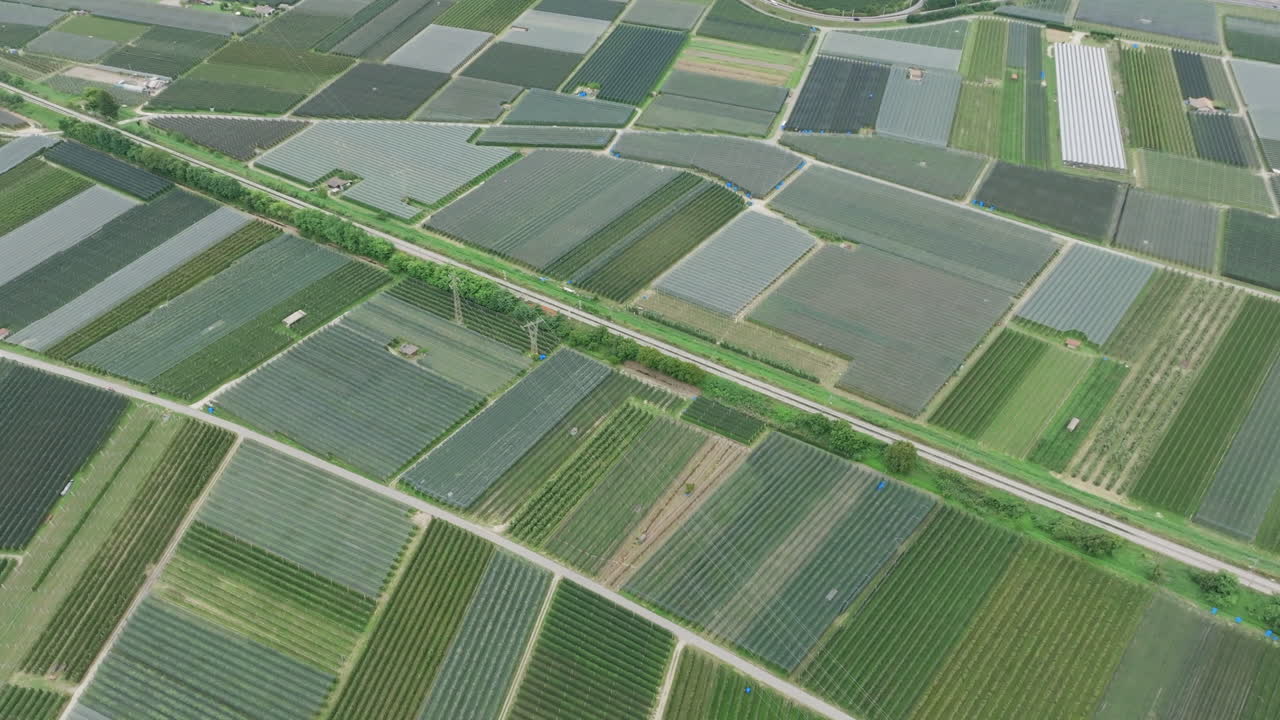 Aerial footage flying over vast fields of grapes and roads and rivers in a valley in the Autonomous Province of Bolzano in Italy.