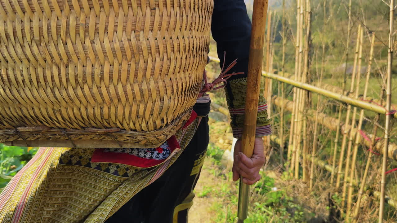 Follow clip of local worker gathering fresh herbs in rural Vietnamese village, with backpack on, and large fields under bright sunlight. Agriculture and culture. Shot on 4K.