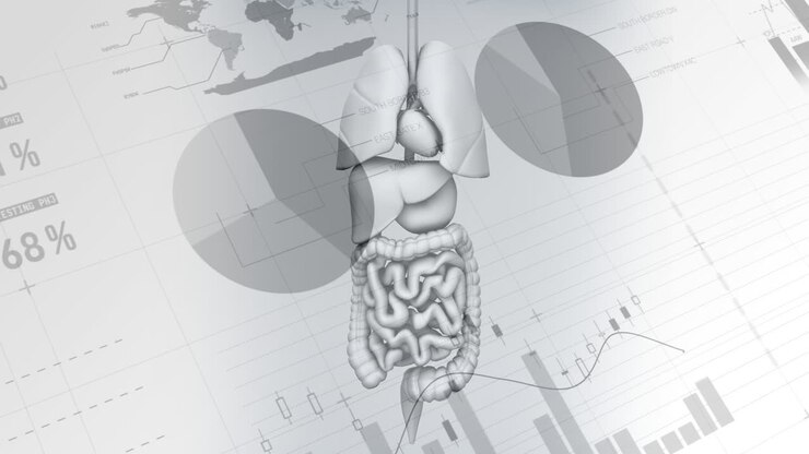 Animation of data processing over human organs body model