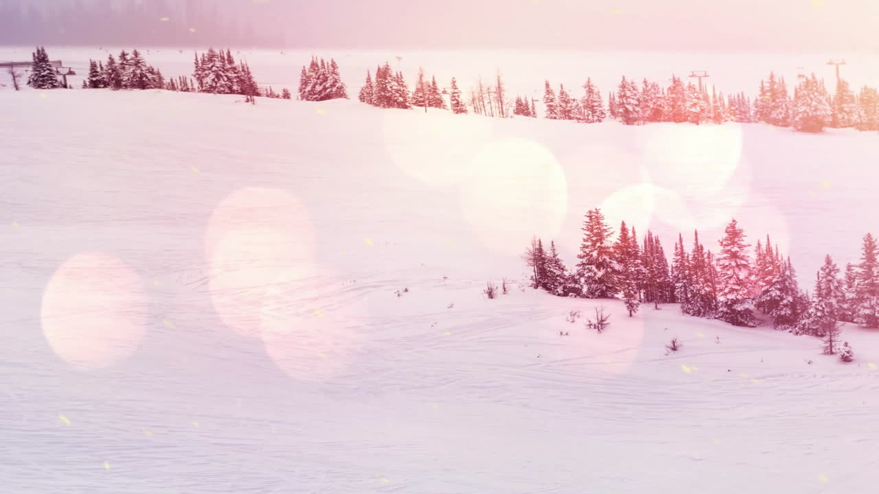 Snow-covered landscape with trees, bokeh light animation creating magical atmosphere