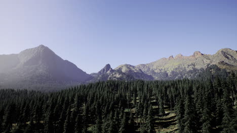 majestic mountain landscape with dense forest under clear blue sky