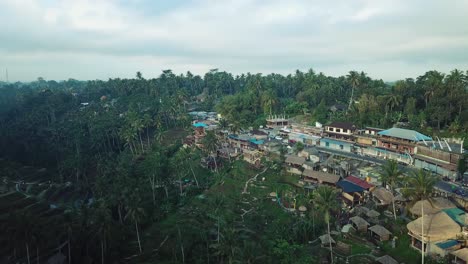 drone shot flying over the tegalalang rice terraces in bali, indonesia