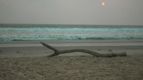 dusky beachscape with a serene ocean under a hazy sky, featuring a large driftwood on sand