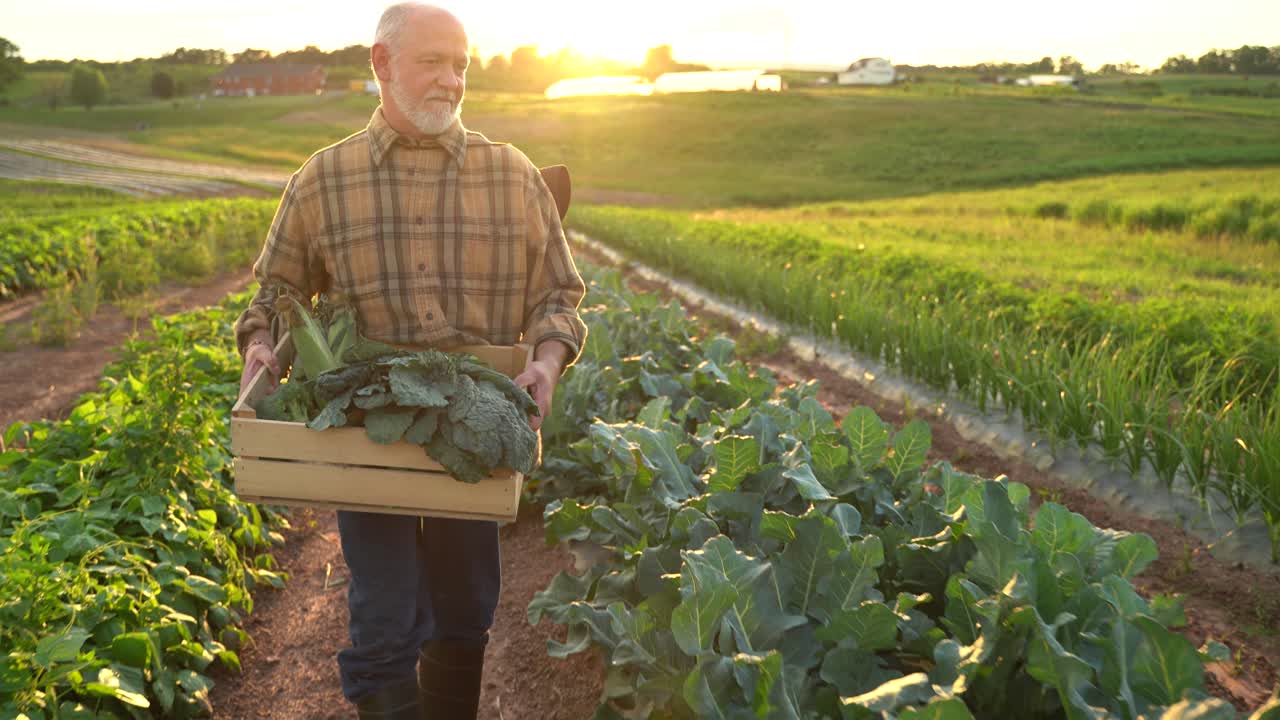 retrato de un agricultor sabio de buen aspecto caucásico de alto rango mirando a un lado, volviéndose cara a la cámara en un campo