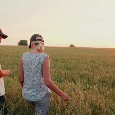 two farmers are walking along the wheat field towards the setting sun