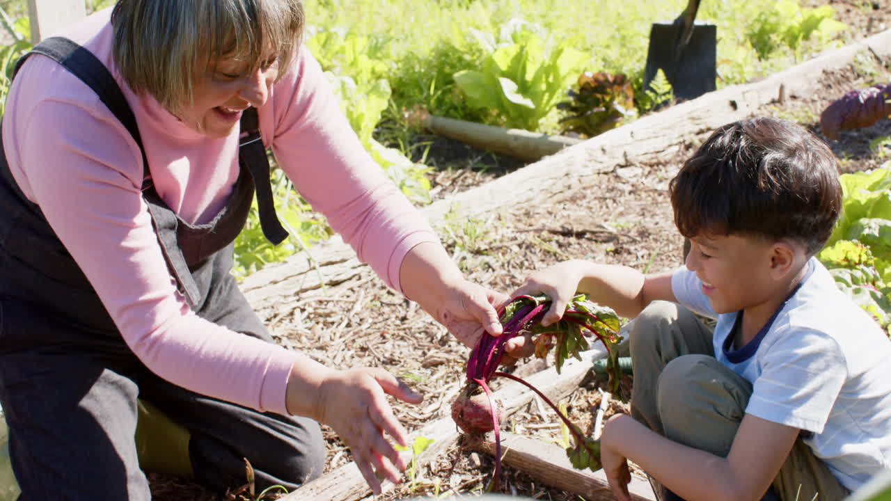 una abuela y un nieto de dos razas recogiendo verduras en un jardín soleado, en cámara lenta