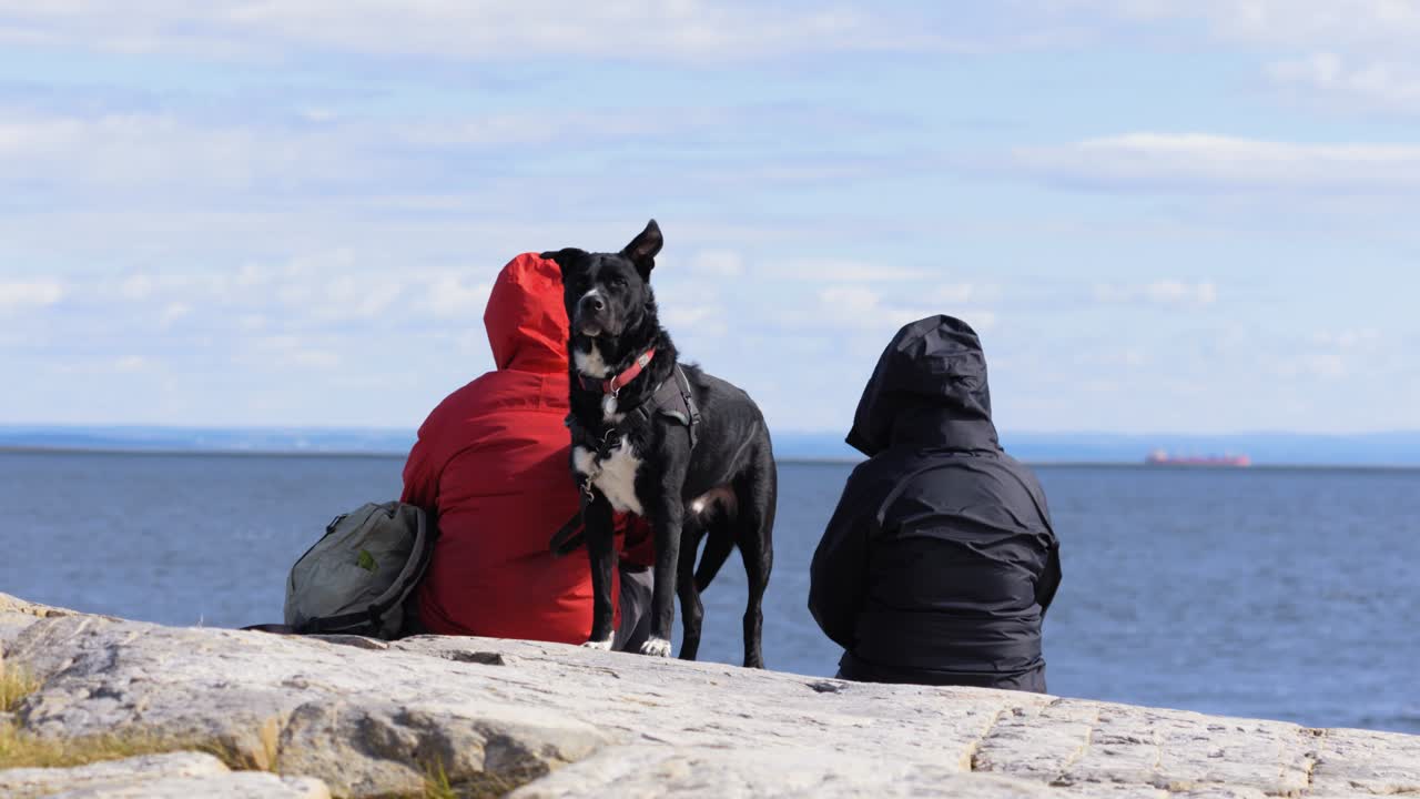 Pes s párem na skalách v Tadoussac, Quebec, Kanada.