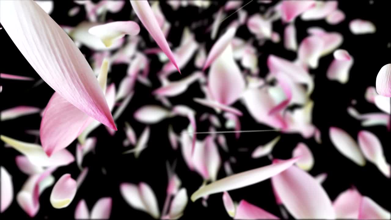 los pétalos de loto rosados están volando.