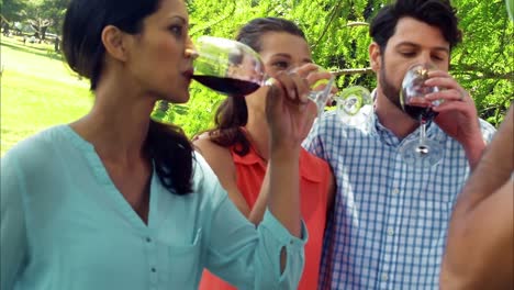 family drinking wine in park