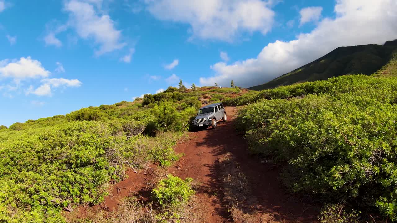크룸홀츠 방향 산을 탐험하는 공중 전망은 "깃발" 또는 "배너" 나무처럼 보입니다.