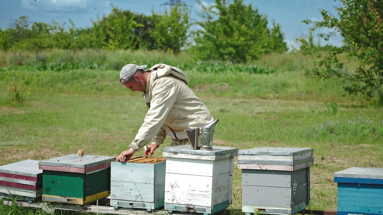 Bee farmer takes frame out of the hive. Apiarist inspecting his bee farm. Sunny summer day background.