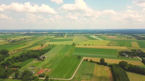 abstracte geometrische vormen van landbouwpercelen van verschillende gewassen in gele en groene kleuren