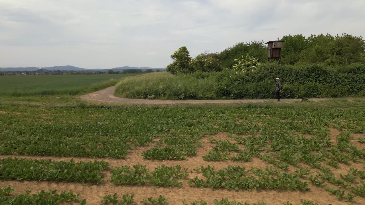 hombre caminando por un sendero detrás de un gran campo de hortalizas en alemania occidental