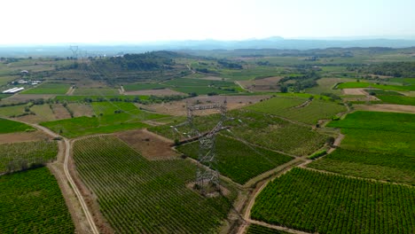 Aerial-orbiting-shot-of-an-electricity-pylon-in-the-middle-of-a-ripe-vineyard