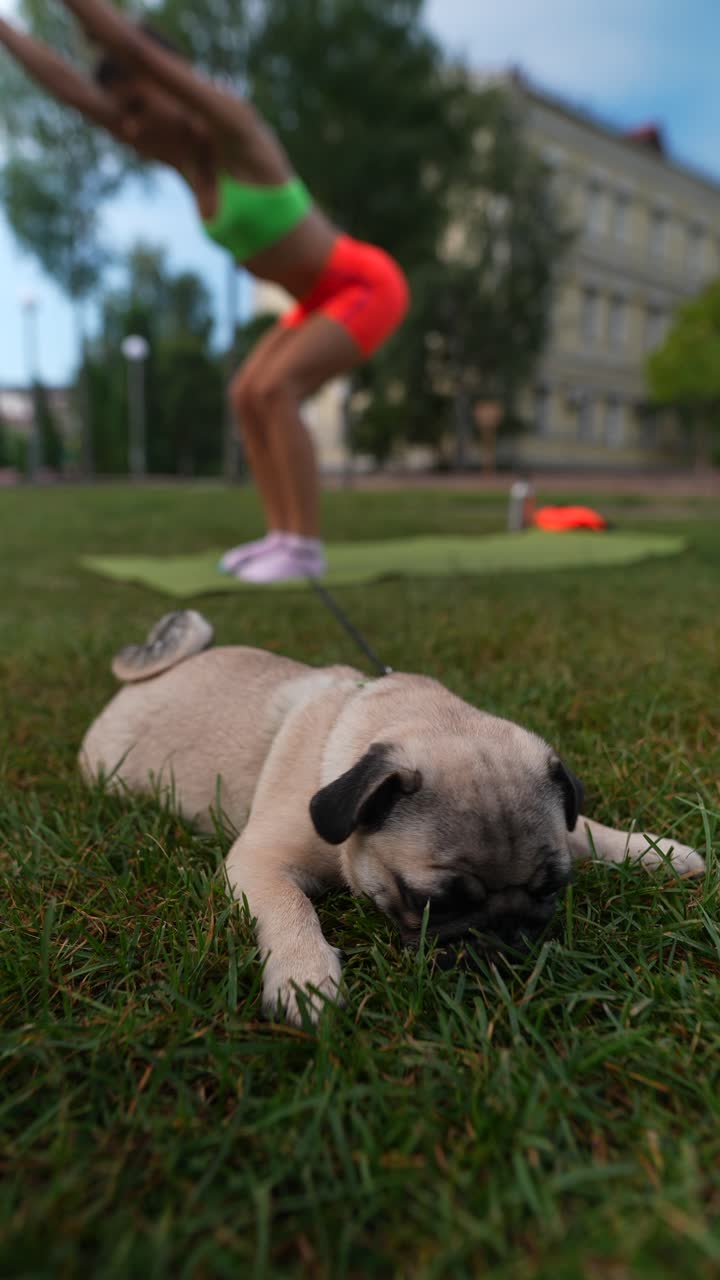 Donna che si allena al parco con il suo cucciolo di carlino