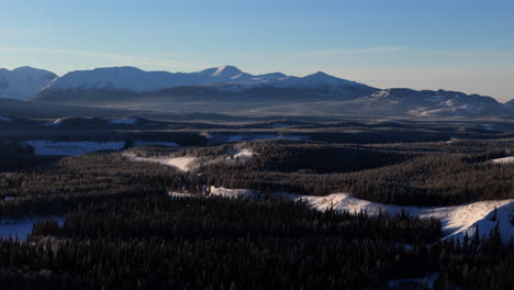 spruce forest around lake laberge near whitehorse in yukon territory, canada. drone shot
