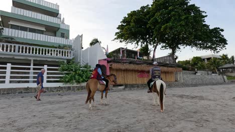 rider and horse trotting along a sandy beach