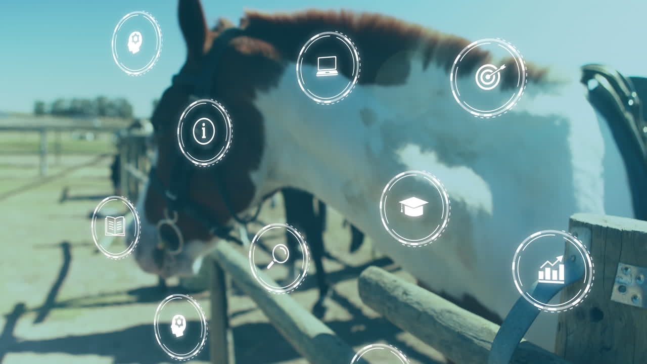 말 위에 있는 미디어 아이콘의 애니메이션