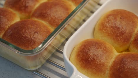 homemade round-shaped soft buns dinner rolls baked in an oven