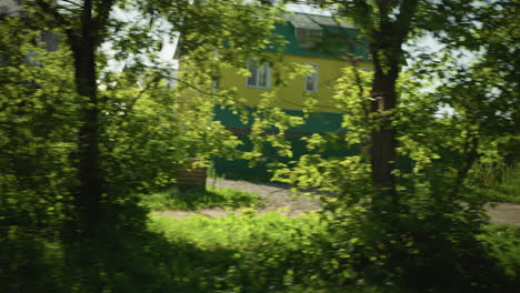 lush green trees and grasses sway in the sunlight with a lemon green building visible in the background