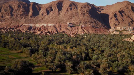 panning shot of green palms in desert oasis near gorges du todra in morocco