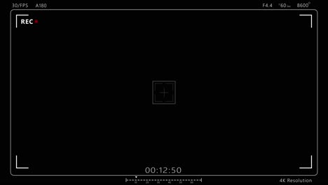 camera recording interface rec symbol timer frame guides focus target settings display for
