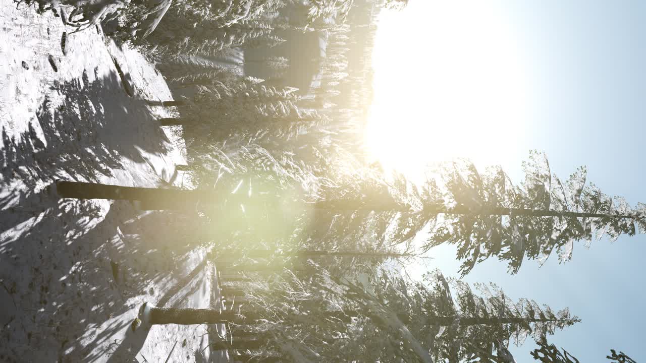 안개 가 많은 아침 에 겨울 의 낙 ⁇  숲